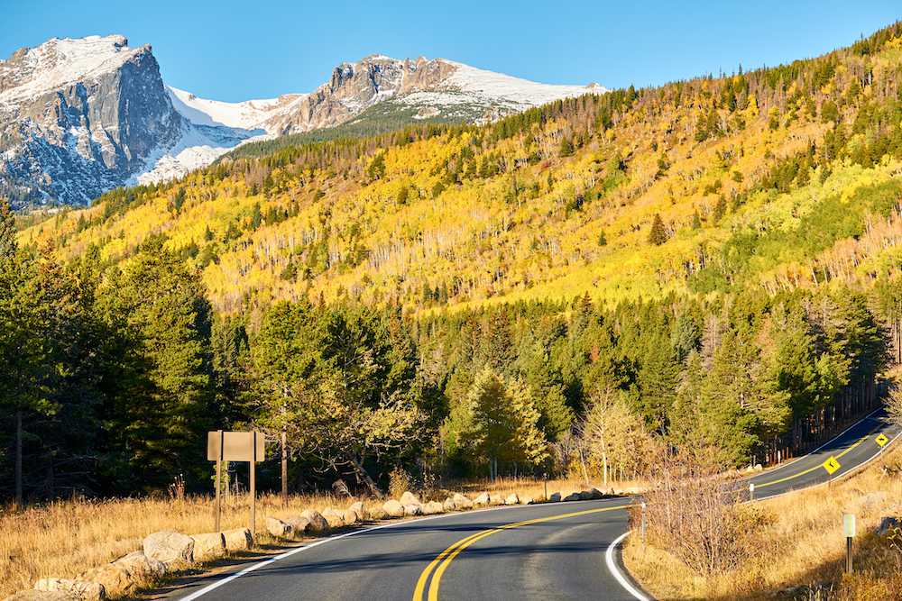Foliage in Rocky Mountain National Park