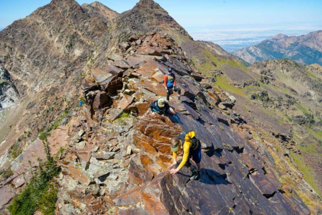 Scrambling between Dromedary and Monte Cristo Scrambling between Dromedary and Monte Cristo