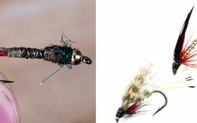 Barbed Vs Barbless Hooks