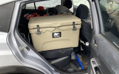 Polar Bear Cooler Review: Hard 45