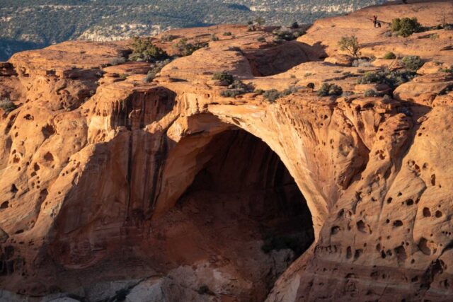 Cassidy Arch