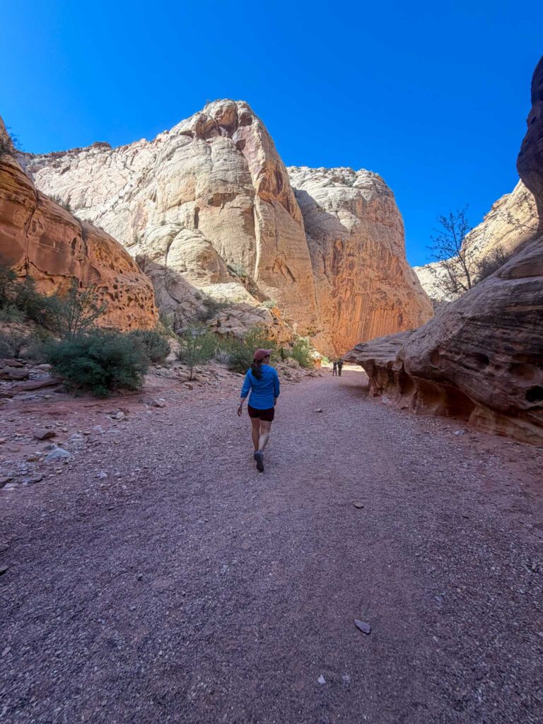 Grand Wash Trail, Capitol Reef National Park