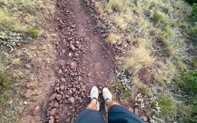 Rossignol Vercors Trail Running Shoe Review: 300+ Miles Tested